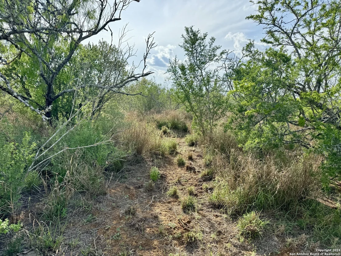 Photo of 0 Carrol Road
