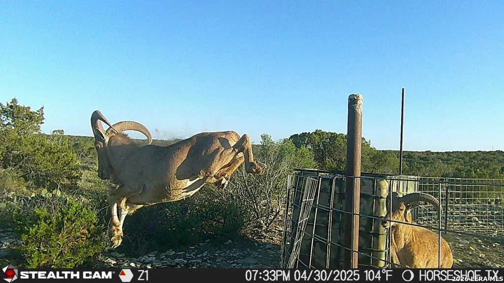 Photo of 0 W Cooper Rd