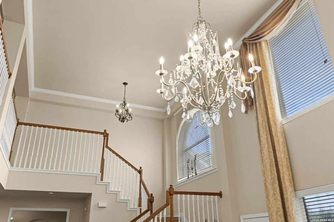 Photo of 38 Cellini