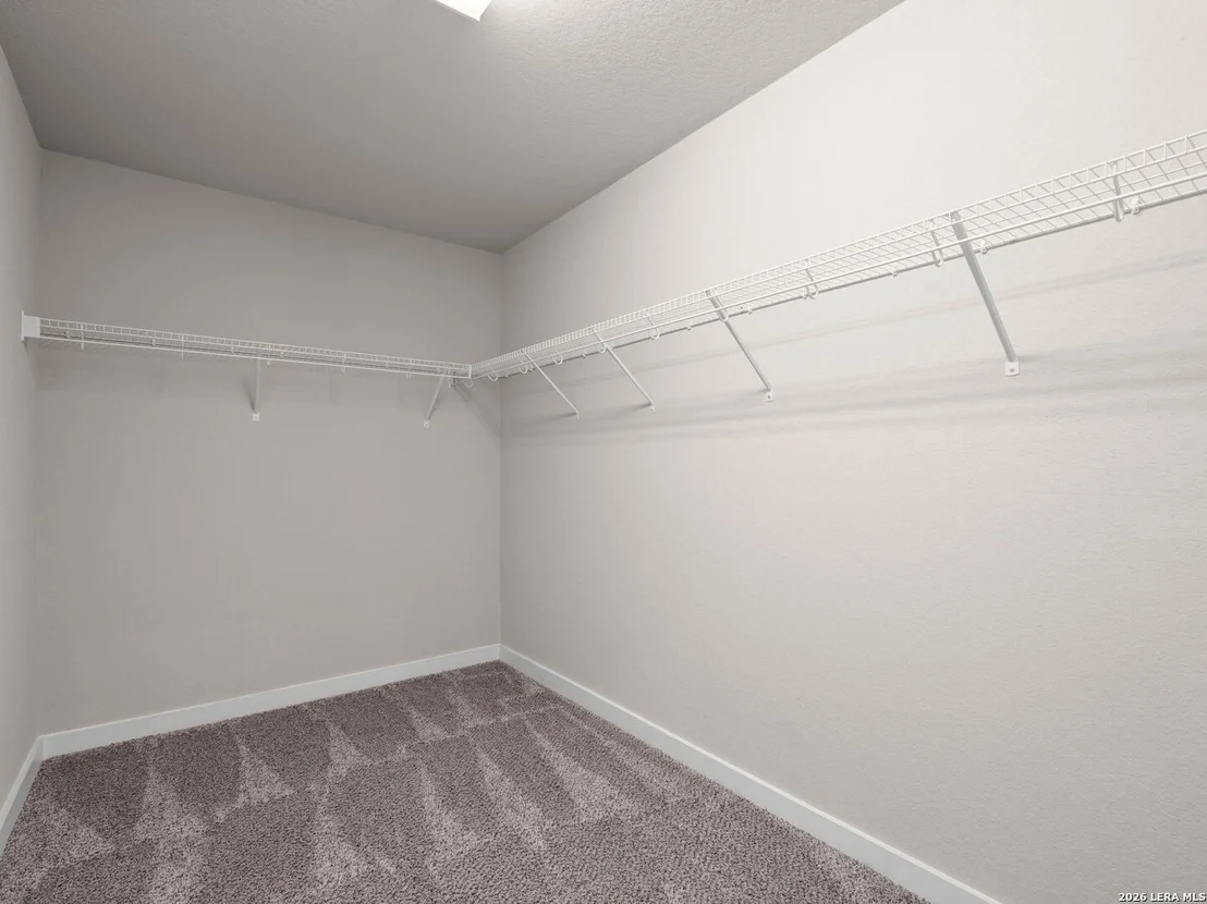 Photo of 3232 Field Thistle