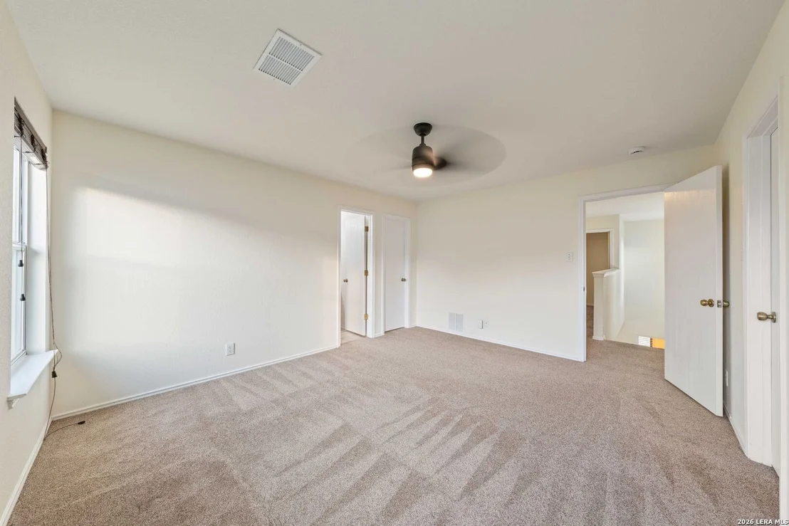Photo of 4963 Ancient Elm