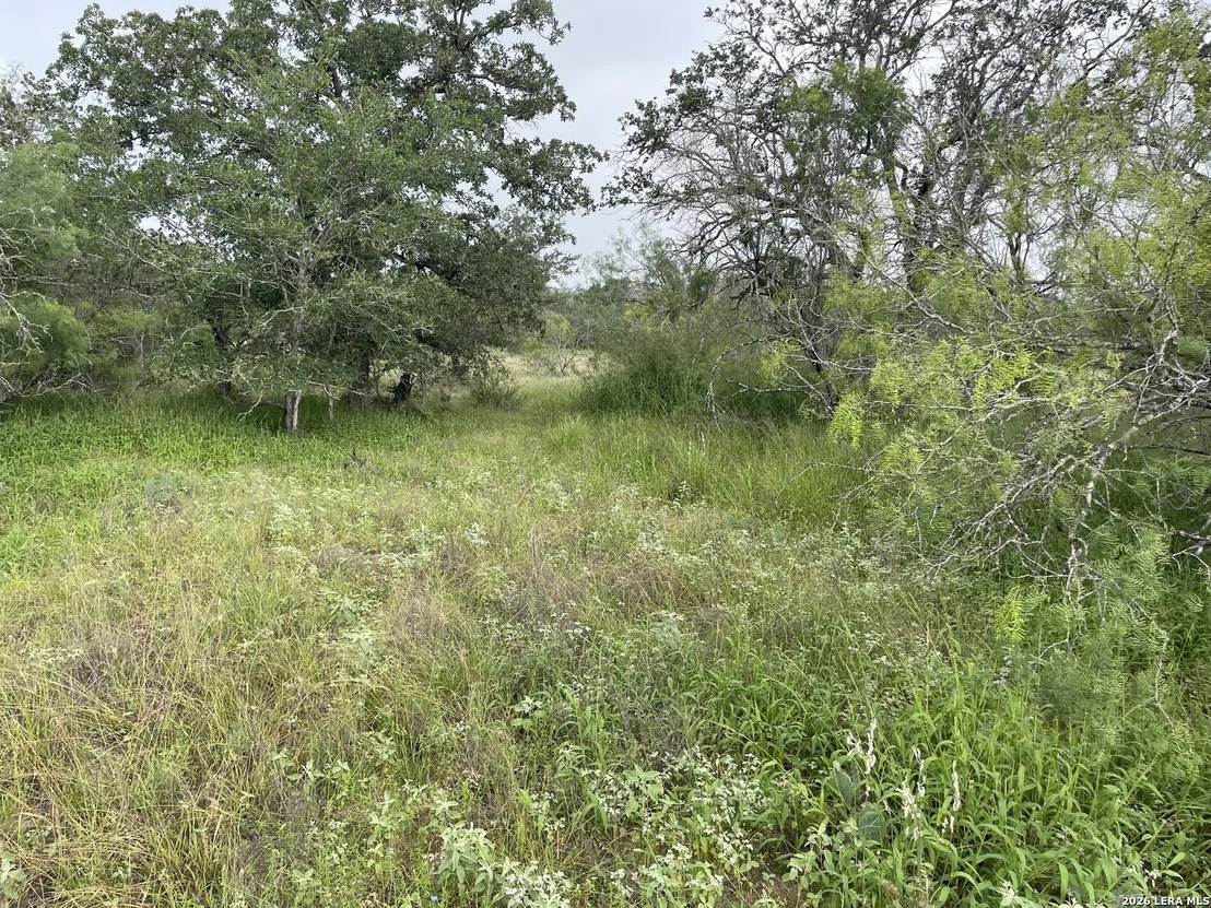 Photo of TRACT#8 12.31A County Road 777