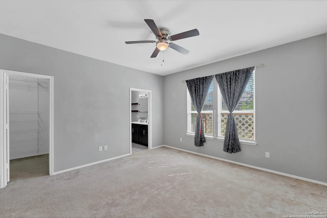 Photo of 1442 POLYDORA