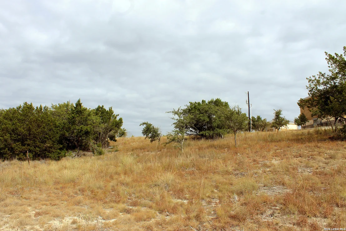 Photo of 291 Stargrass