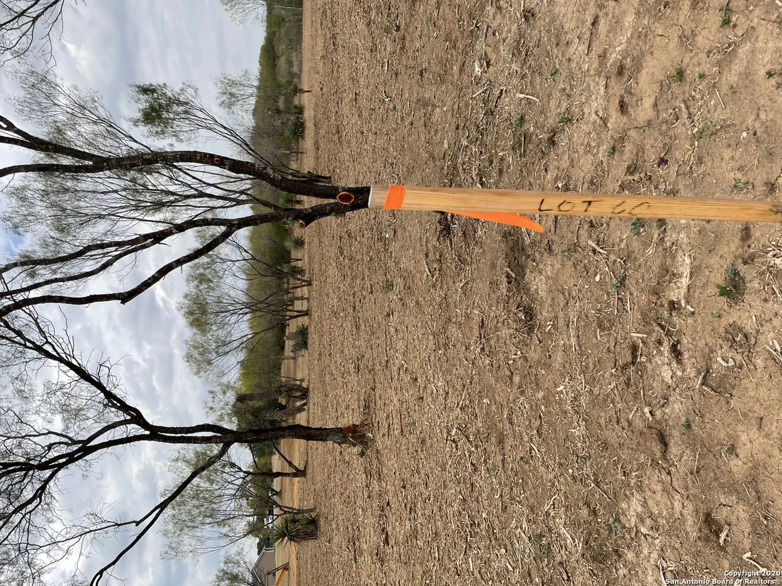 Photo of 257 County Road 1647