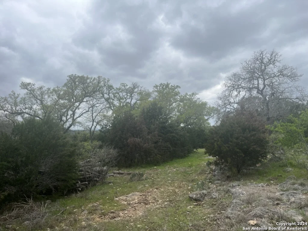 Photo of 192 MACAW LN