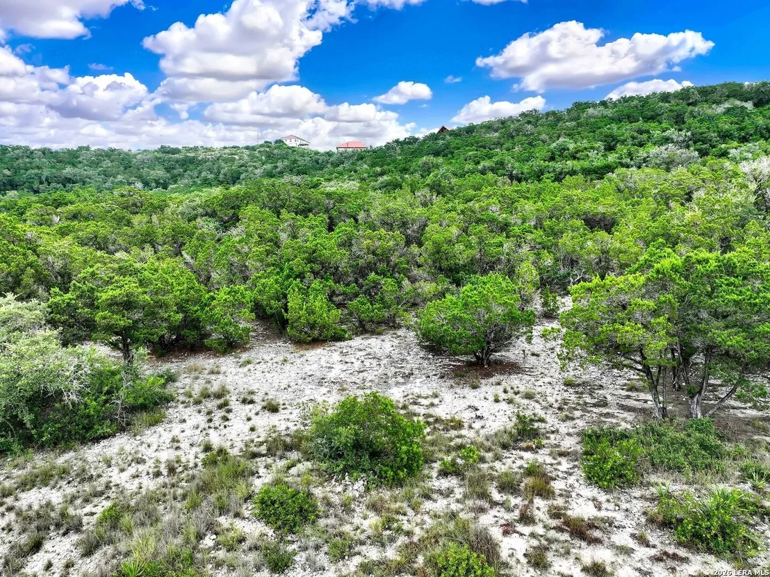 Photo of LOT 101 Pr 1712