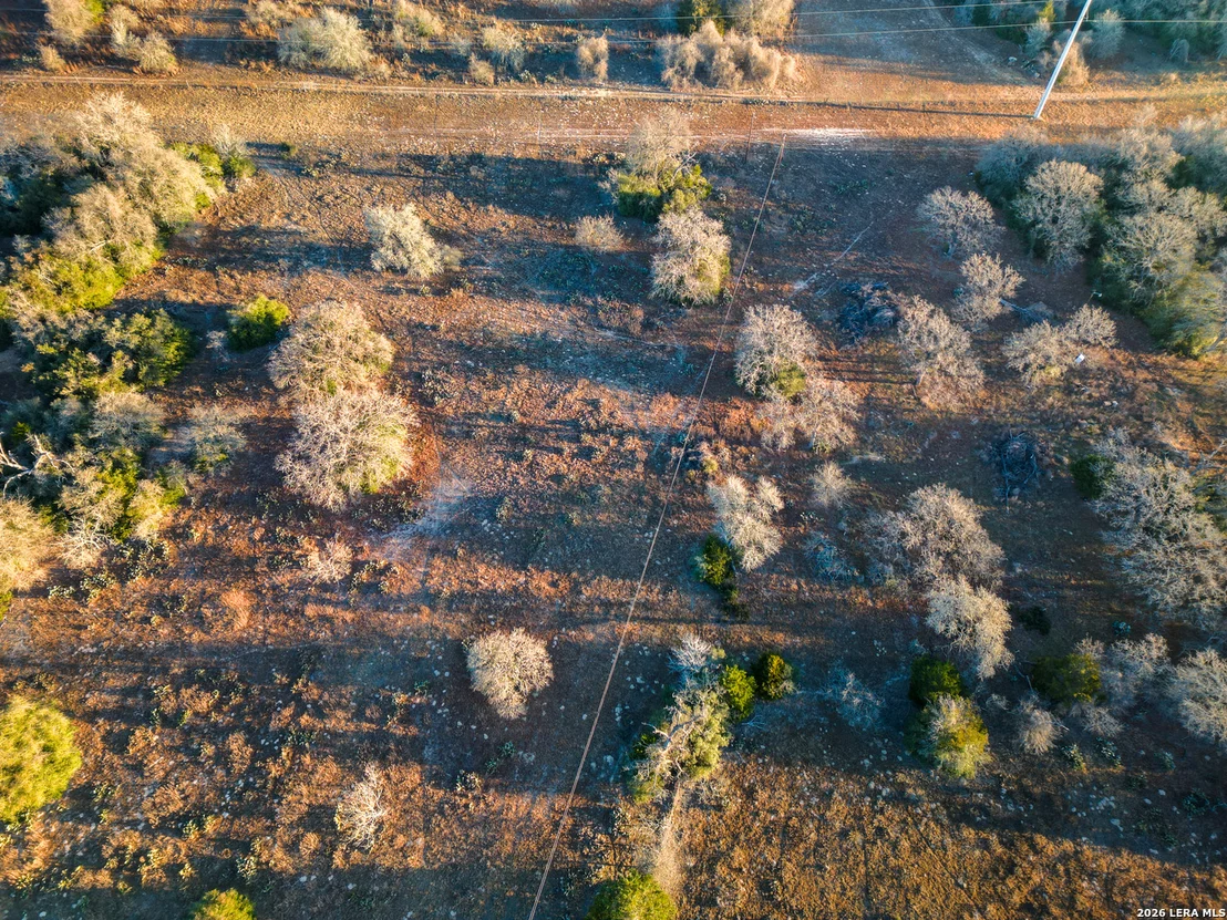Photo of TBD Sandy Pine