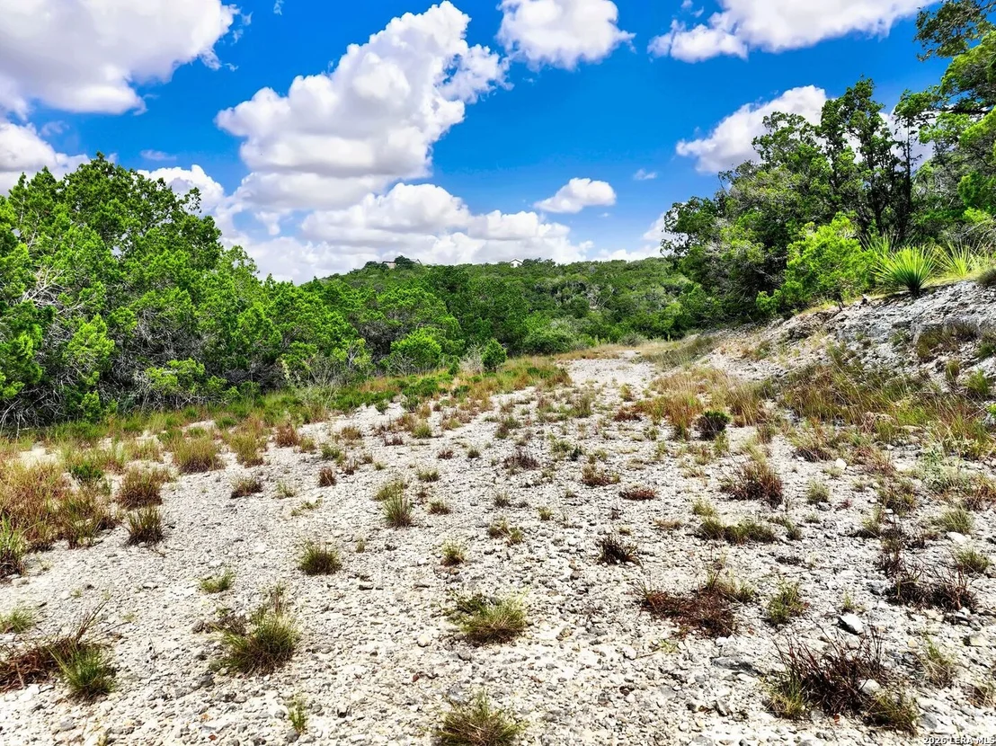 Photo of LOT 101 Pr 1712