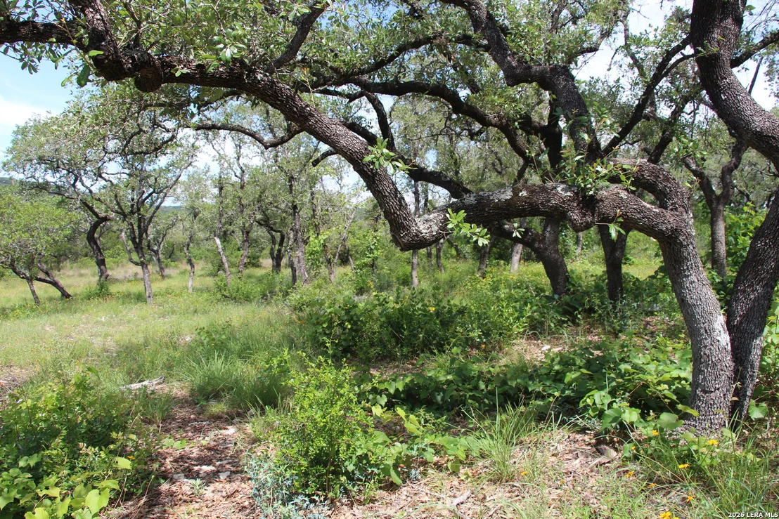 Photo of LOT 52 Clear Water Cyn