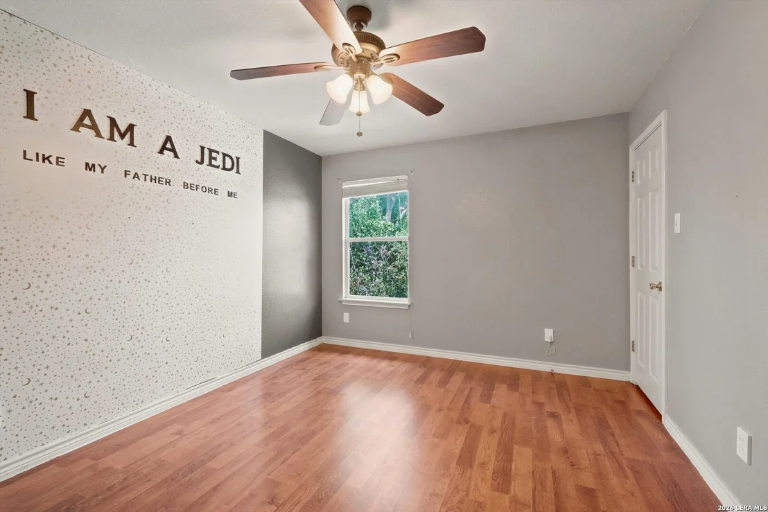 Photo of 802 Celosia