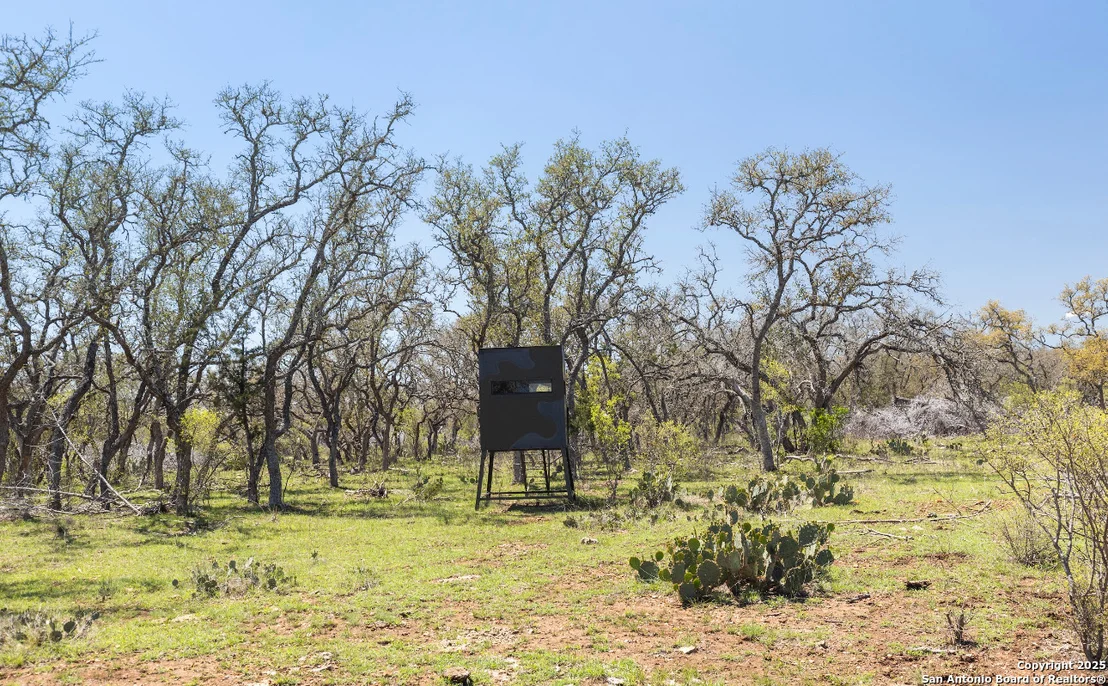 Photo of 1974 PR 3214