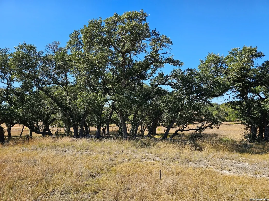 Photo of 34663 Shelly Bridge Point
