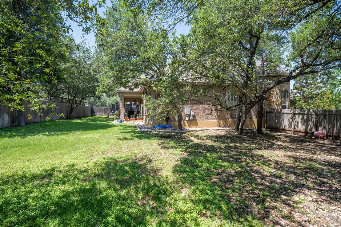 Photo of 25603 Santolina