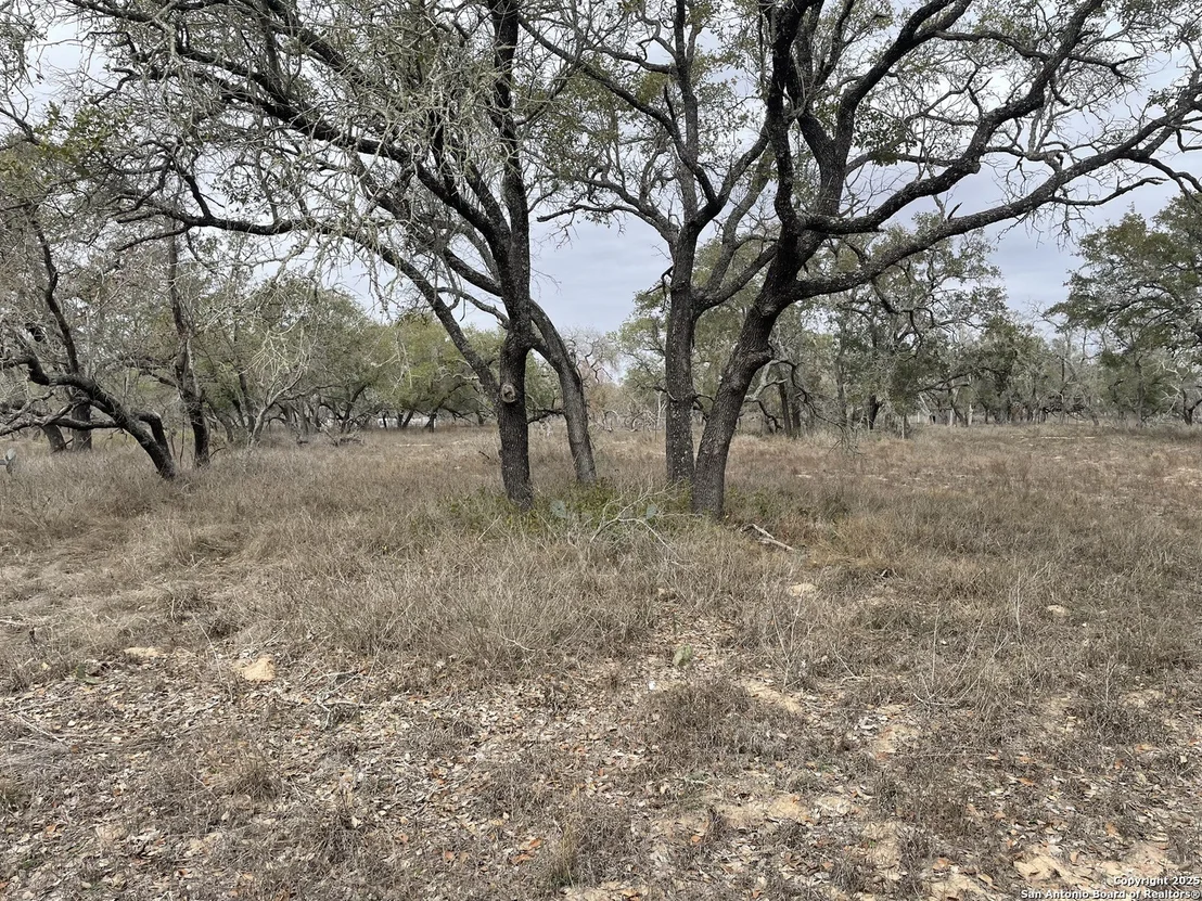 Photo of TRACT 10 COUNTY ROAD 777