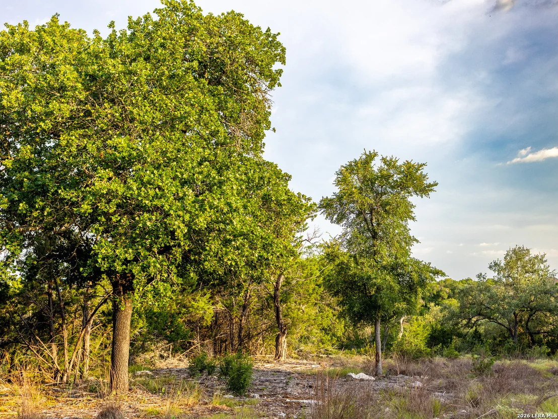 Photo of LOT 12 Monterey Trail
