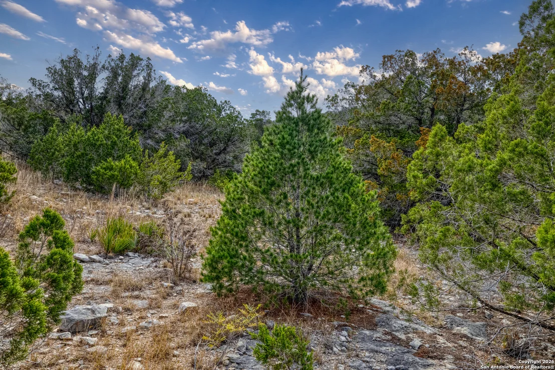 Photo of 25 SD 65065  Dusty Rose Ranch