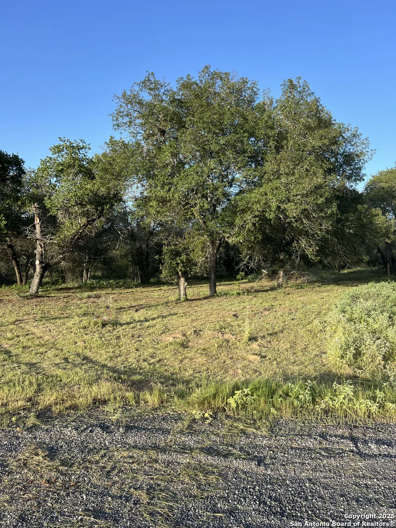 Photo of 108 Timber