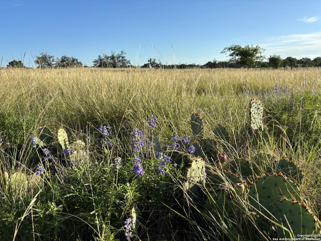 Photo of 183 Lipan Loop