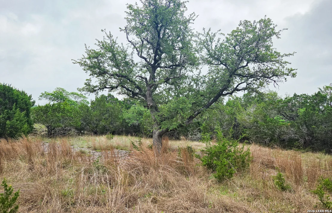 Photo of TBD Falling Oak