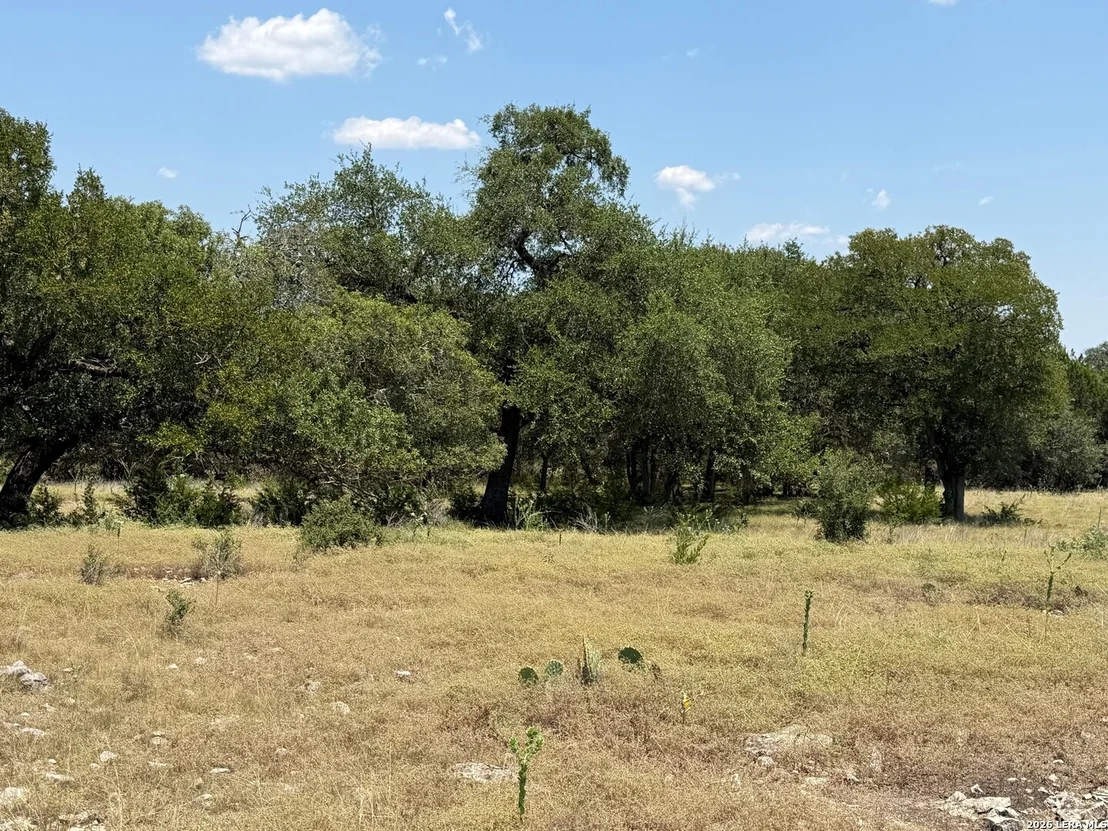 Photo of 207 Rio Cordillera