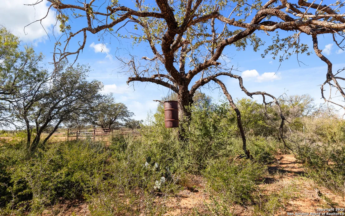 Photo of 2198 CR 653