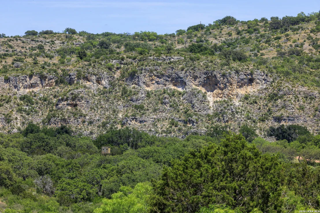 Photo of 256 Persimmon Point