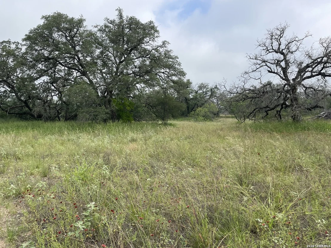 Photo of TRACT#8 12.31A County Road 777