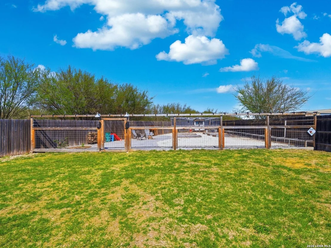 Photo of 598 Summersweet
