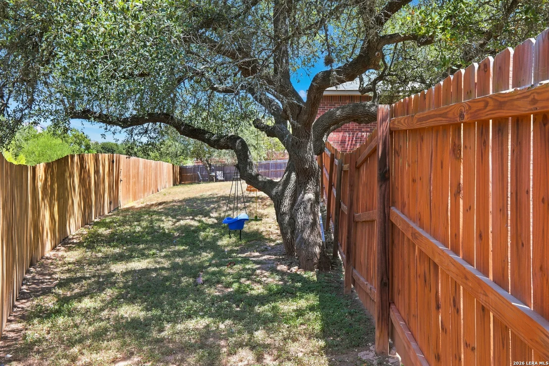 Photo of 25022 Ashe Juniper