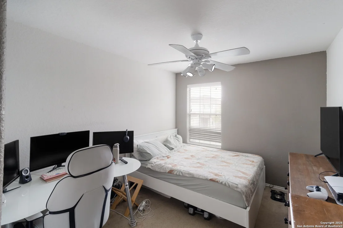 Photo of 178 Palma Noce