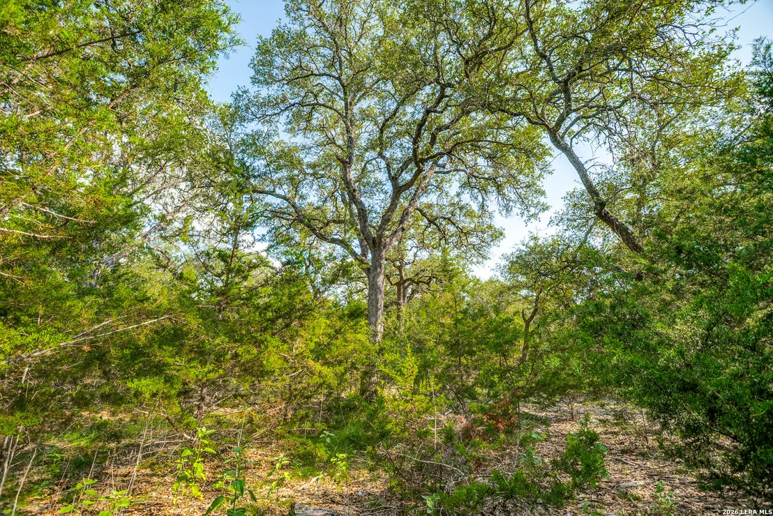 Photo of 104C Riverwood
