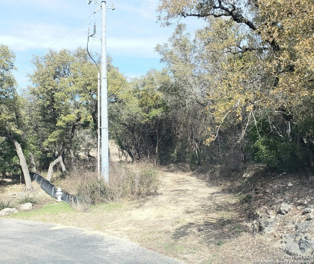 Photo of 14465 CHINQUAPIN