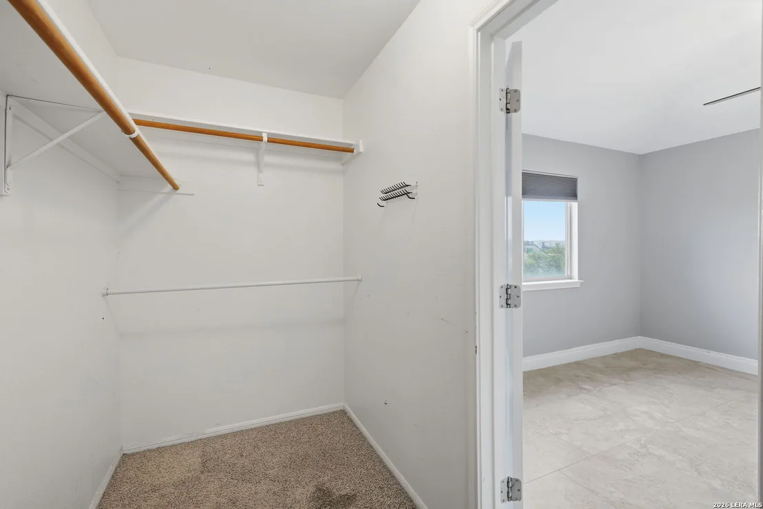 Photo of 21810 Goldcrest