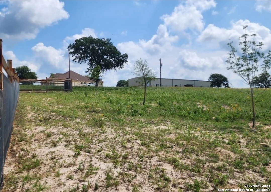 Photo of 233 TRIPLE BEND DR