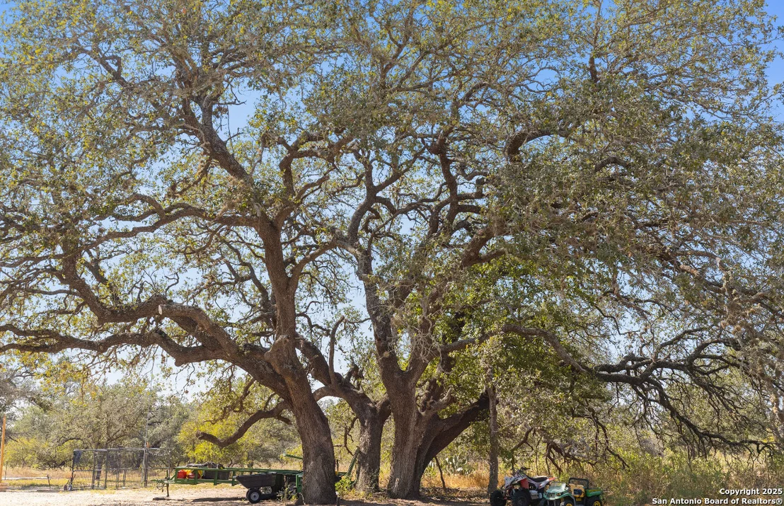Photo of 1304 County Road 777