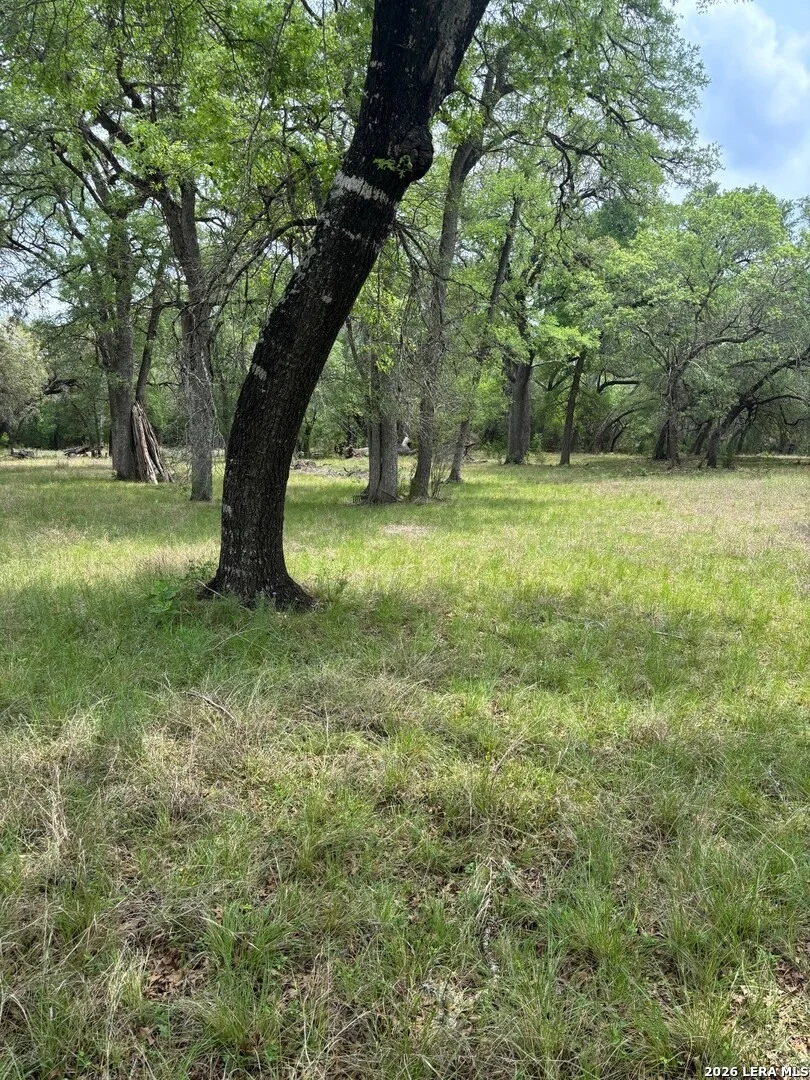 Photo of 595 CANYON FRST