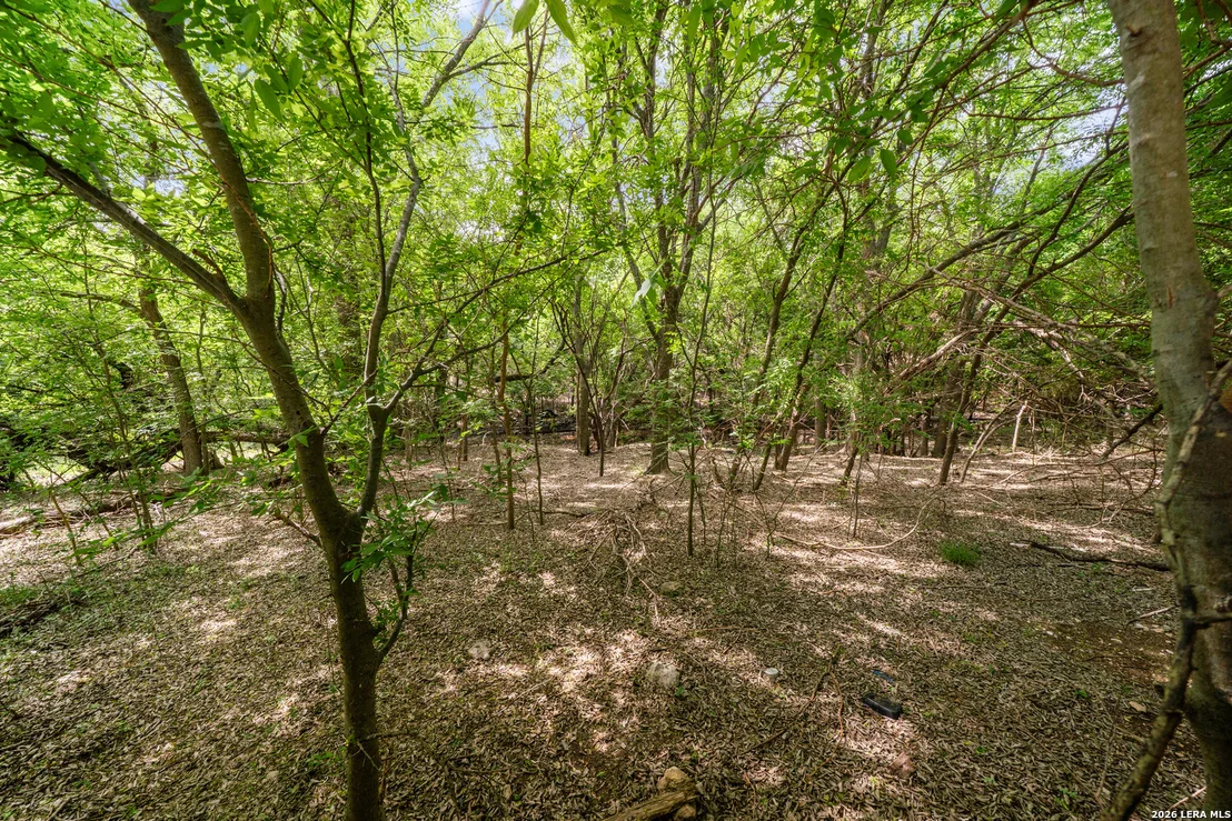 Photo of 4003 Arbor