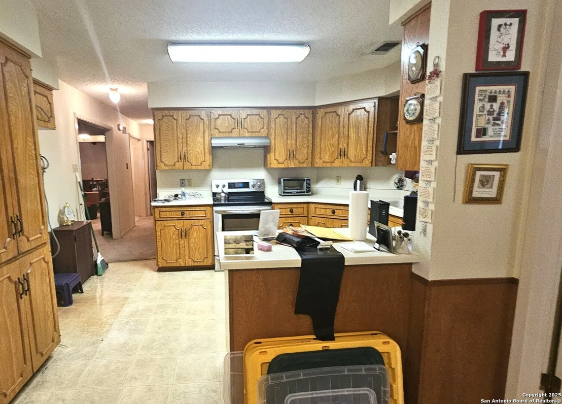 Photo of 225 Red Fox