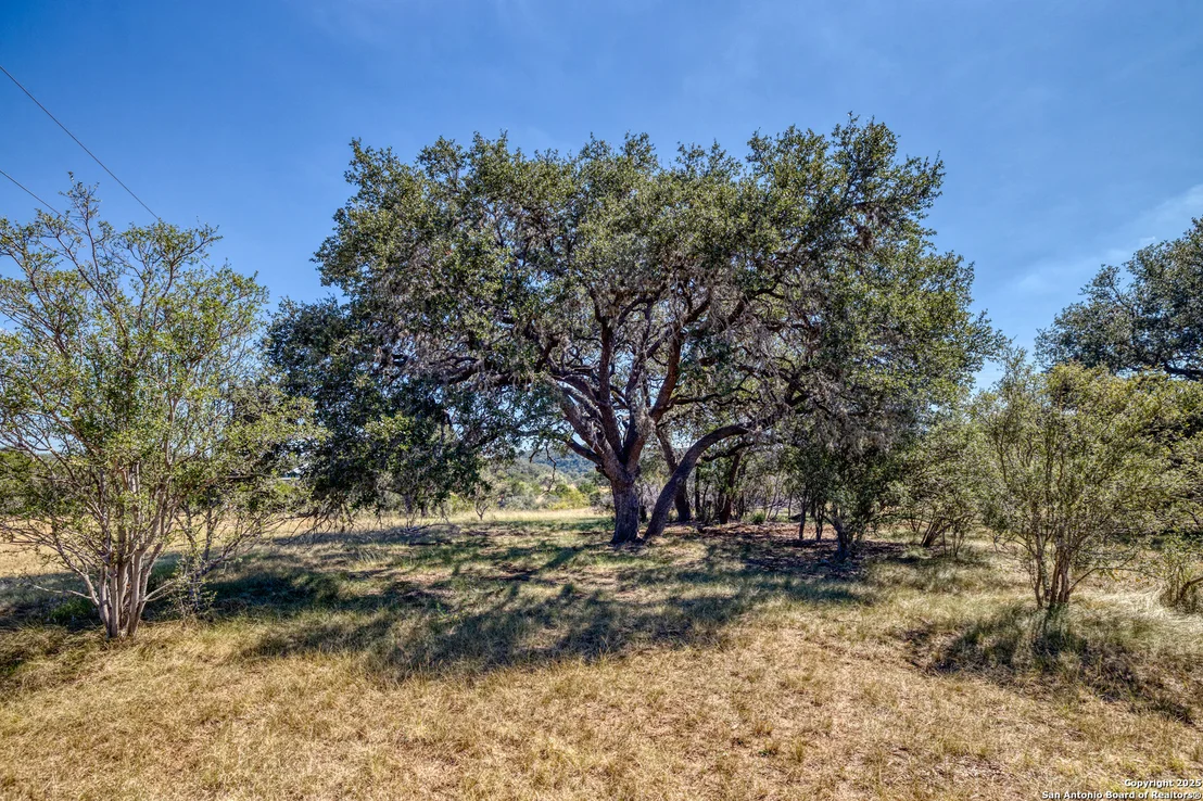 Photo of 459 Cr 425