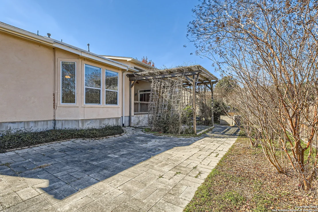 Photo of 12742 Texas Thistle