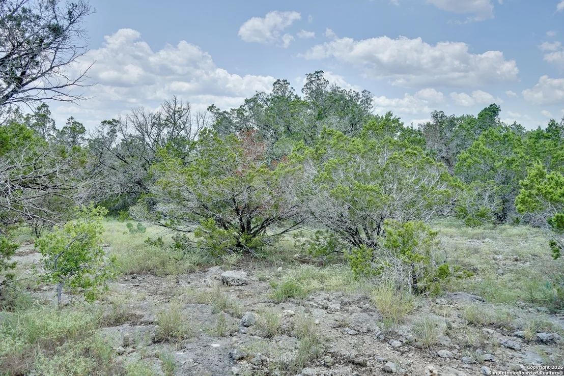 Photo of 447 Coyote Trail
