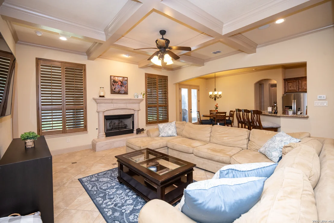 Photo of 25603 Santolina