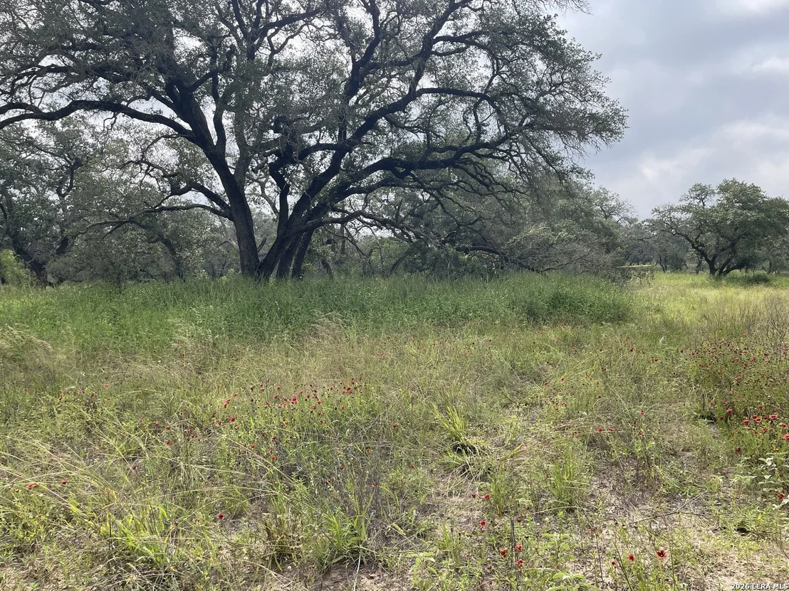 Photo of TRACT#8 12.31A County Road 777