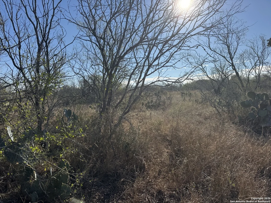 Photo of 449 Rodriguez Acres PR