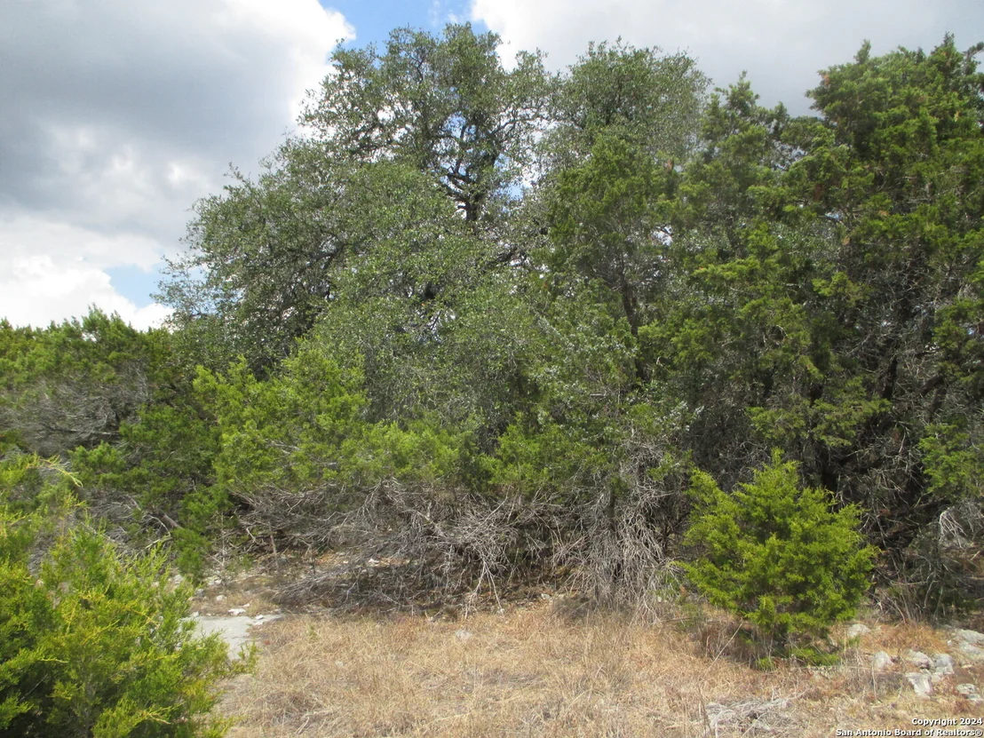 Photo of LOT 18 LEDGESTONE PL