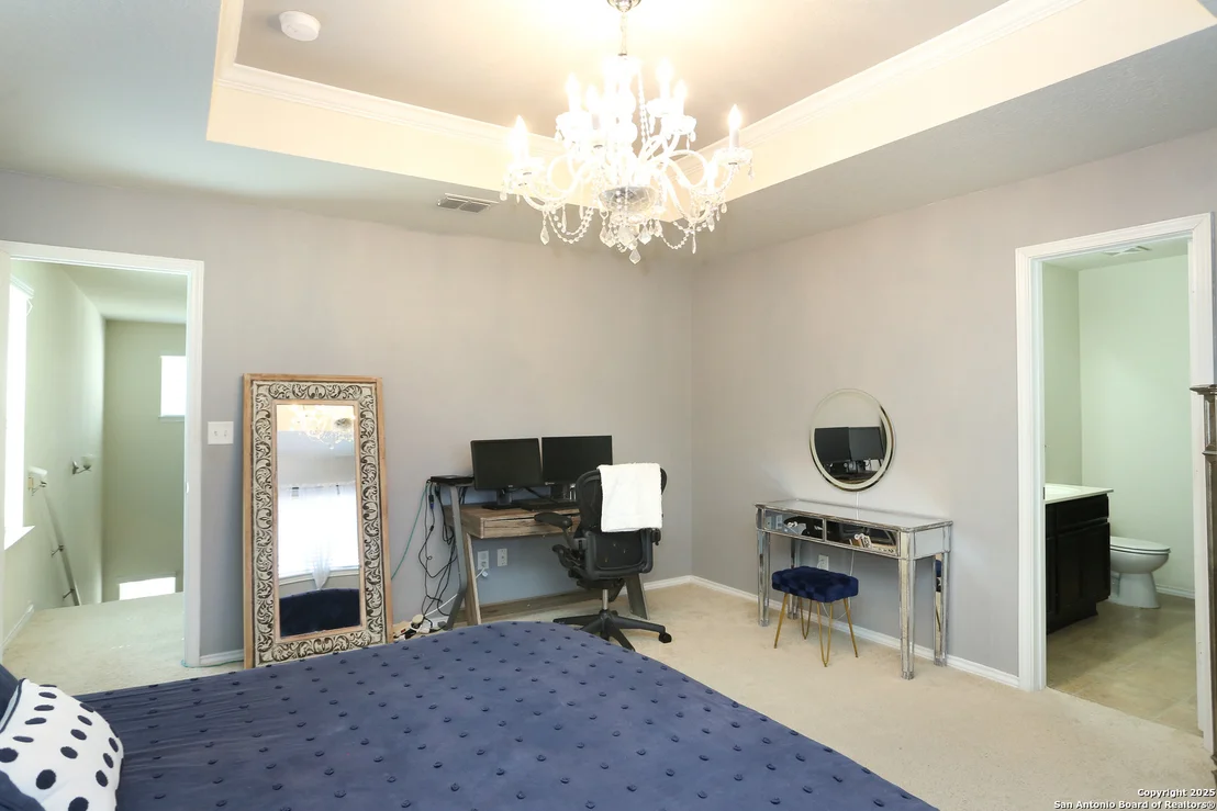 Photo of 142 Prato Palma