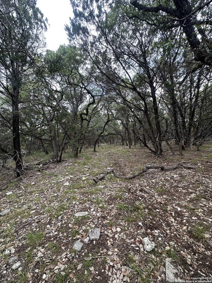 Photo of 000 Blanco Road
