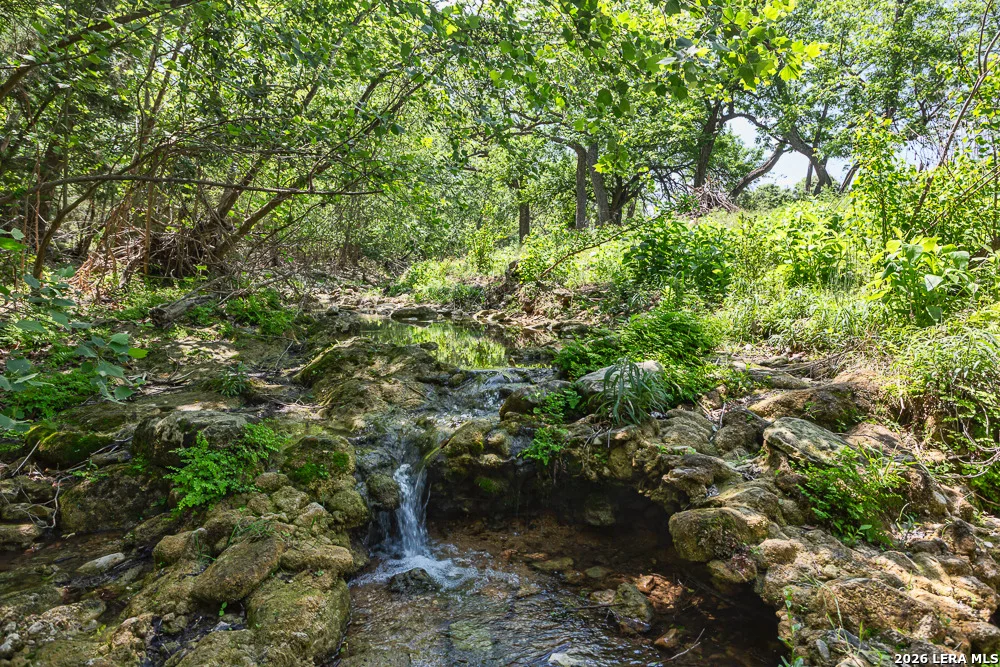 Photo of 127 EL NOPAL