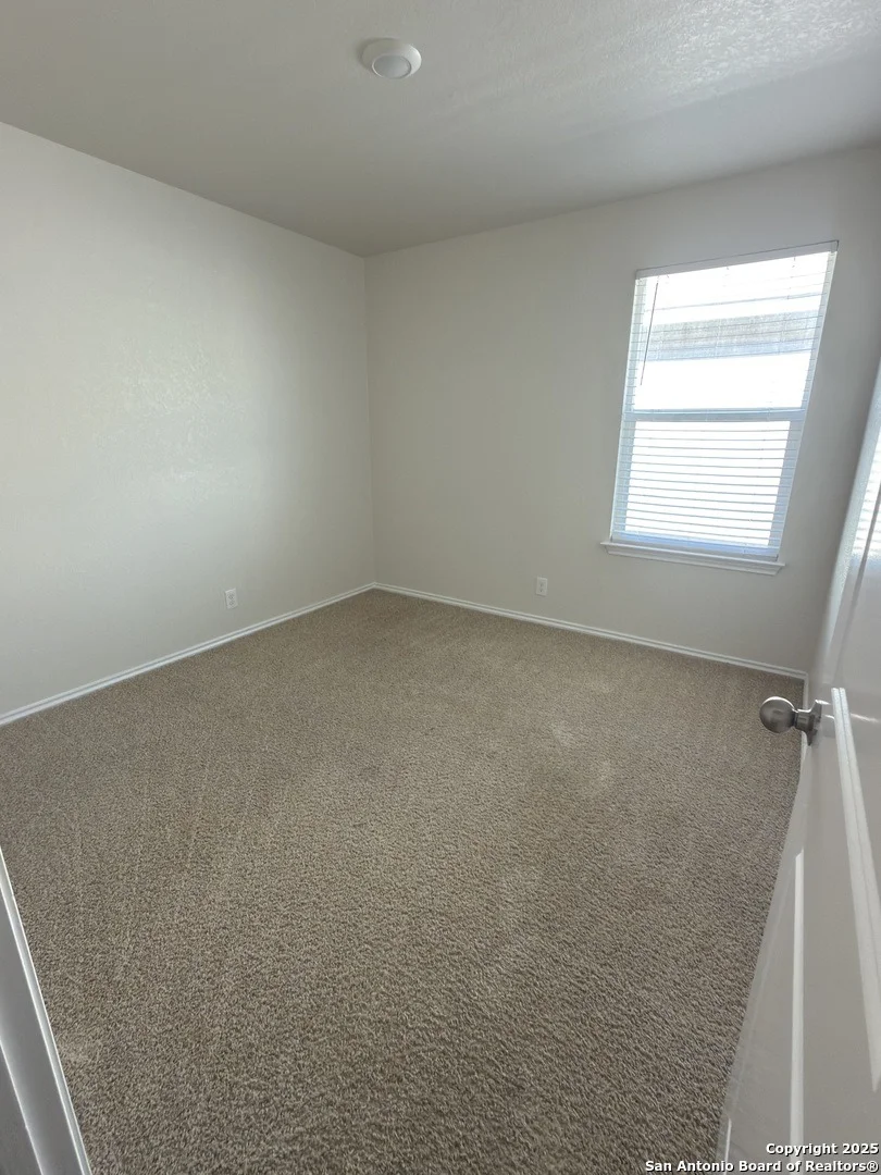 Photo of 156 middle green